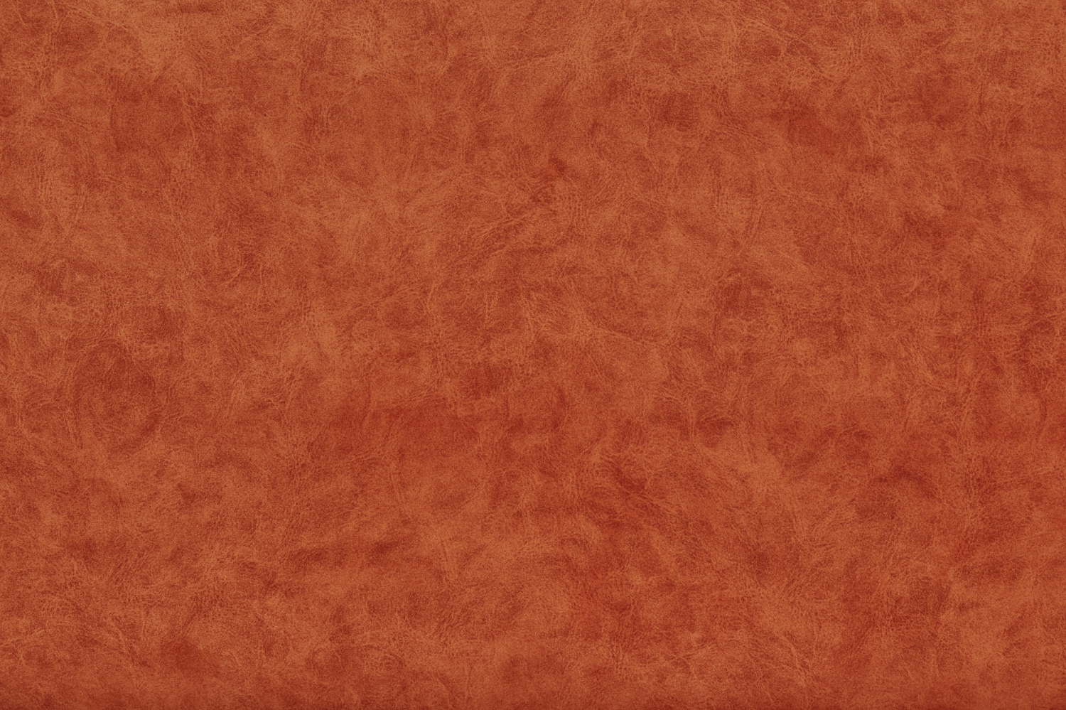 Camel_27